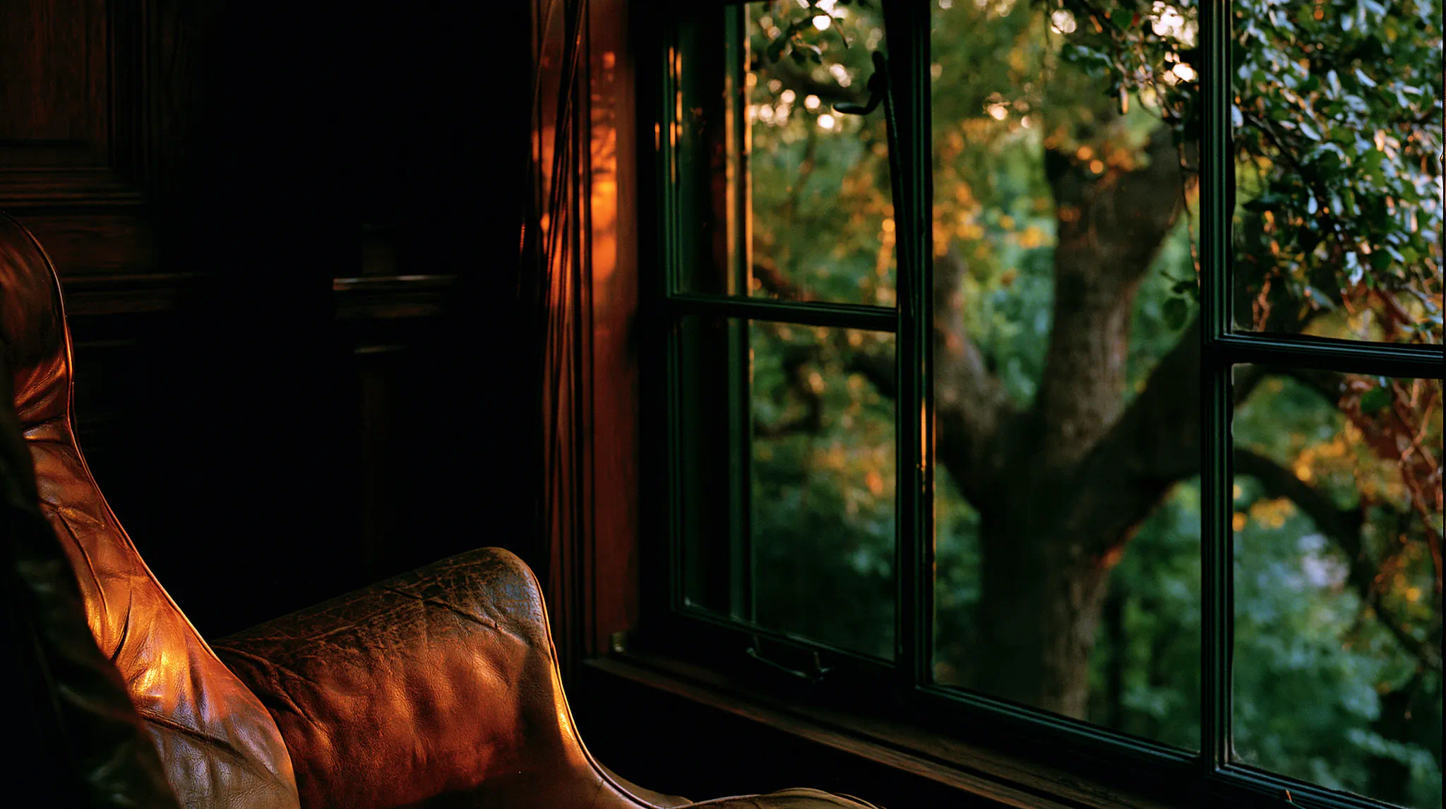 View through tall office windows onto two mature oak trees at late afternoon